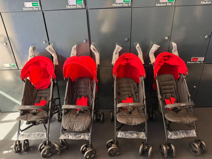 Picture of our buggies